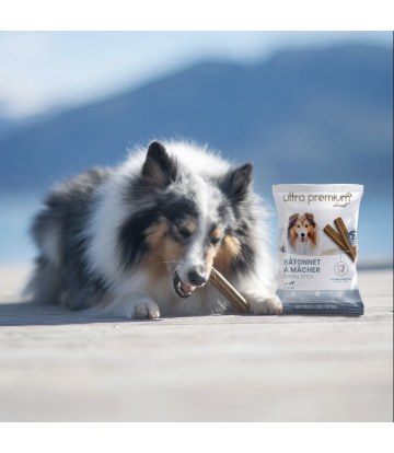 Bâtonnets à mâcher pour...