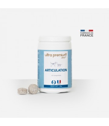 COMPLÉMENT ARTICULATION -...