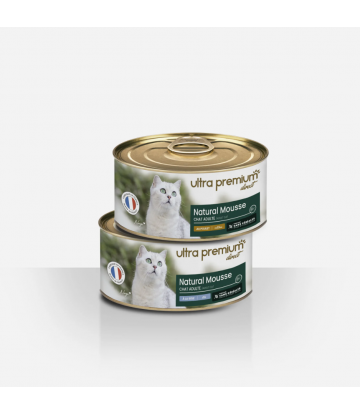 12 boîtes de mousse pour...