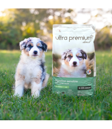 Croquettes Sans Céréales...